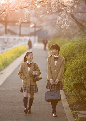 「個別指導がもたらす学力向上！選び方とおすすめ塾ガイド」